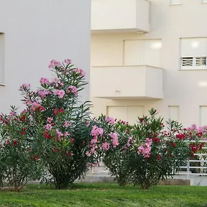 Apartman Luce Gold, Zadar